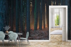 Carta da Parati Foreste e Alberi