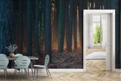 Carta da Parati Foreste e Alberi