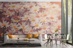 Daisy Garden Flowers Nature Wallpaper