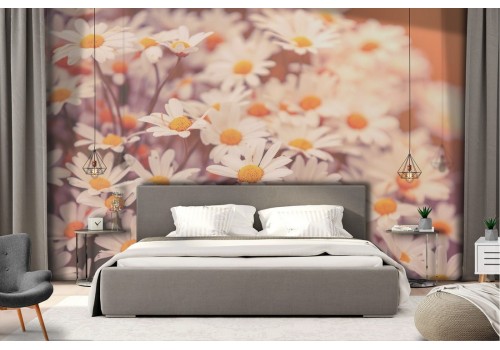 Daisy Garden Flowers Nature Wallpaper 2