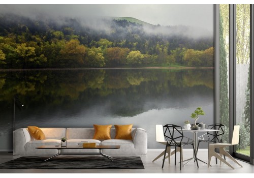 Wallpaper lake in the forest nature landscape