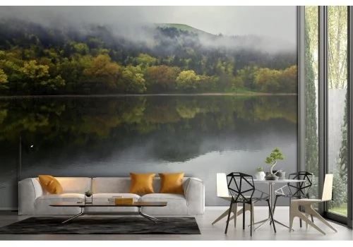 Wallpaper lake in the forest nature landscape