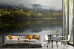 Wallpaper lake in the forest nature landscape