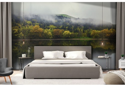 Wallpaper lake in the forest nature landscape 2