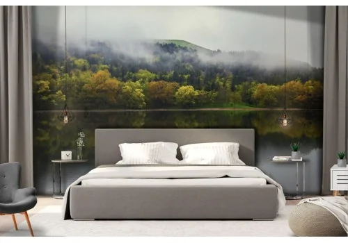 Wallpaper lake in the forest nature landscape 2