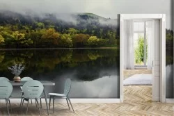 Carta da Parati Fiumi Cascate Laghi Foreste e Alberi