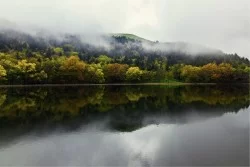 Wallpaper Landscapes and Nature Rivers Waterfalls Lakes Forests and Trees