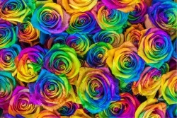 Carta da Parati Design e Stili Flora e Fauna Fiori Moderna Natura
