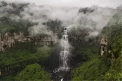 Carta da Parati Flora e Fauna Paesaggi e Natura Tropicale Fiumi Cascate Laghi