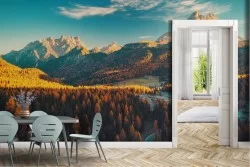 Carta da Parati Alberi Foreste e Alberi Montagna