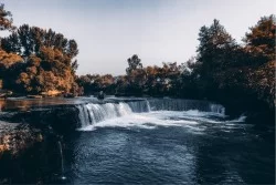 Carta da Parati Flora e Fauna Paesaggi e Natura Fiumi Cascate Laghi Foreste e Alberi
