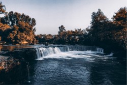 Wallpaper Flora and Fauna Landscapes and Nature Rivers Waterfalls Lakes Forests and Trees