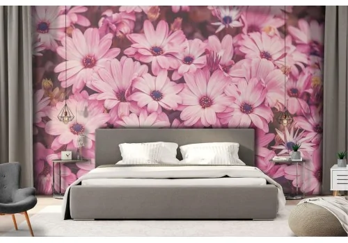 Carta da Parati margherite rosa natura fiori 2