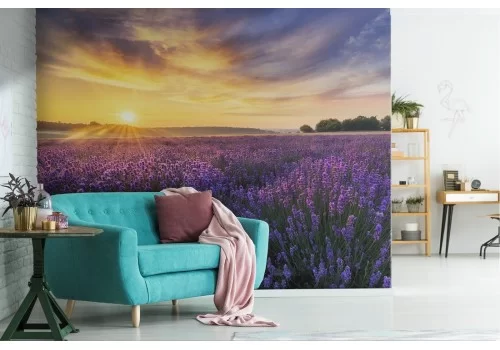 Carta da Parati lavanda giardino in fiore paesaggio