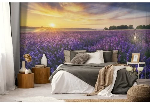 Carta da Parati lavanda giardino in fiore paesaggio 2