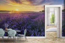 Carta da Parati Foglie e Fiori Giardini Prati e colline