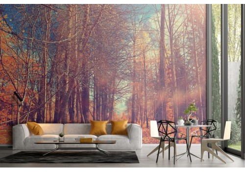 Wallpaper path in the forest nature landscape