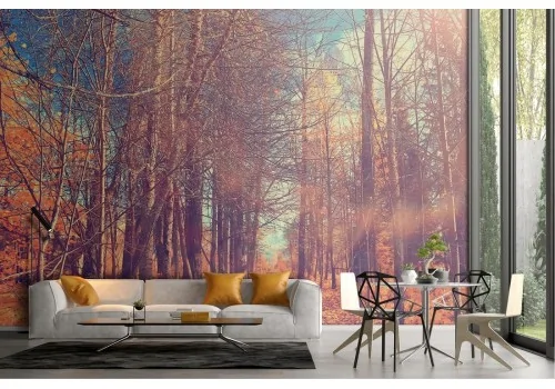 Wallpaper path in the forest nature landscape