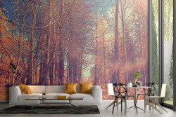 Carta da Parati sentiero nel bosco natura paesaggio