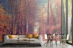 Wallpaper path in the forest nature landscape