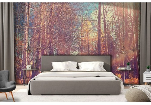 Wallpaper path in the forest nature landscape 2