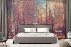 Carta da Parati sentiero nel bosco natura paesaggio