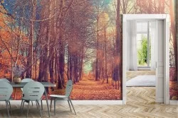 Wallpaper of Forests and Trees