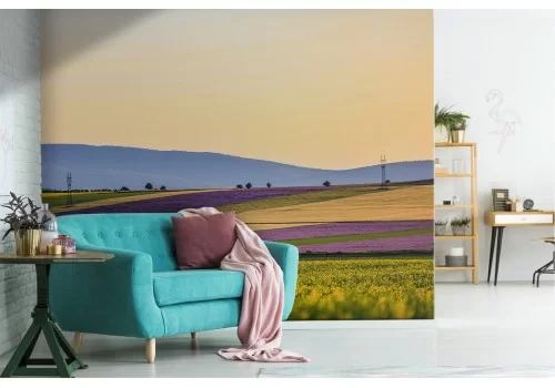 Carta da Parati colline in fiori paesaggio natura