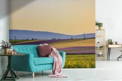 Carta da Parati colline in fiori paesaggio natura