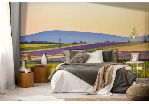 Wallpaper hills in flowers nature landscape 2