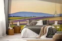 Wallpaper hills in flowers nature landscape