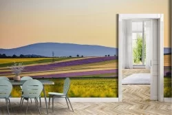 Carta da Parati Foglie e Fiori Prati e colline