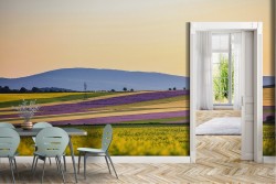 Wallpaper Leaves and Flowers Meadows and Hills