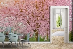 Carta da Parati Alberi Foreste e Alberi