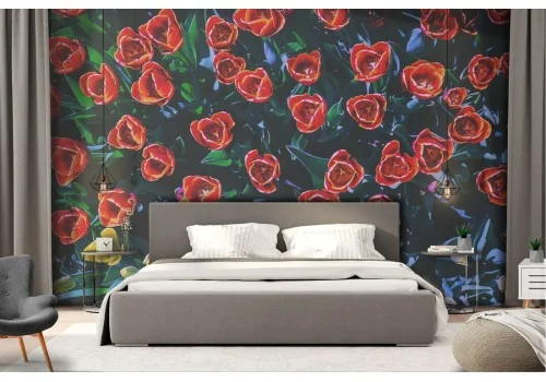 Wallpaper garden in bloom roses nature 2