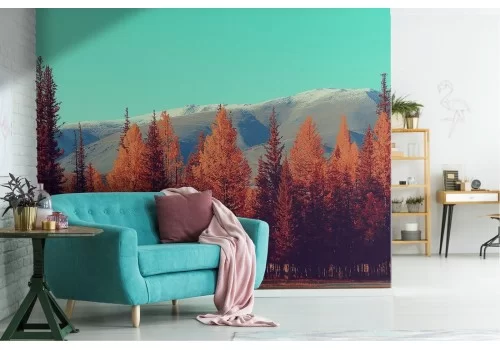 Carta da Parati alberi autunno foresta paesaggio