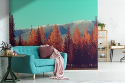 Carta da Parati alberi autunno foresta paesaggio