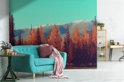 Wallpaper autumn trees forest landscape