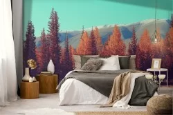 Wallpaper autumn trees forest landscape