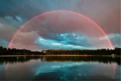 Wallpaper Flora and Fauna Landscapes and Nature Rivers Waterfalls Lakes Forests and Trees