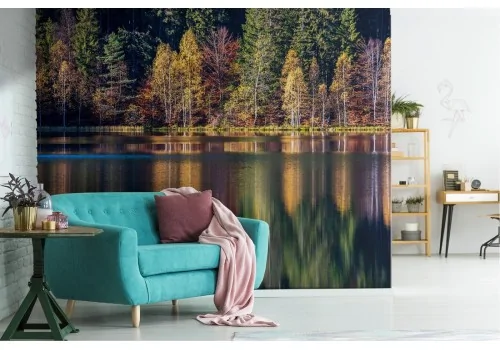 Wallpaper trees forest on the lake landscape