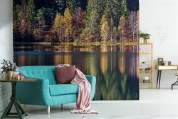 Carta da Parati alberi foresta sul lago paesaggio