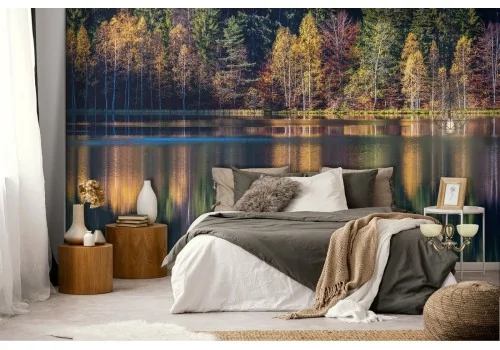 Wallpaper forest trees on the lake landscape 2