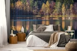 Carta da Parati alberi foresta sul lago paesaggio