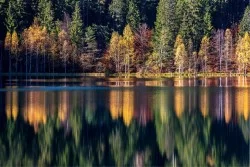 Carta da Parati Paesaggi e Natura Flora e Fauna Foreste e Alberi Fiumi Cascate Laghi