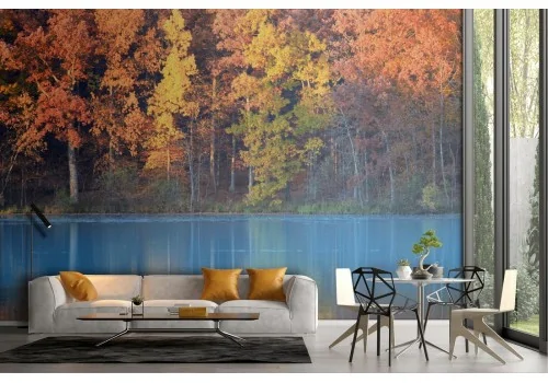 Forest on the lake woodland landscape wallpaper