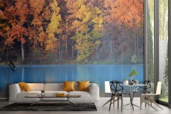 Carta da Parati foresta sul lago bosco paesaggio