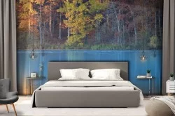 Forest on the lake woodland landscape wallpaper