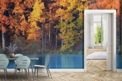 Wallpaper of Forests and Trees