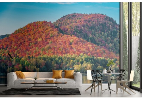 Forest on the lake autumn landscape wallpaper